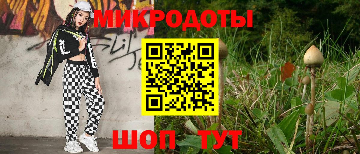 Псилоцибиновые грибы Magic Shrooms  Вход с VPN  Новоалександровск  Галлюциногенные грибы прущие грибы 