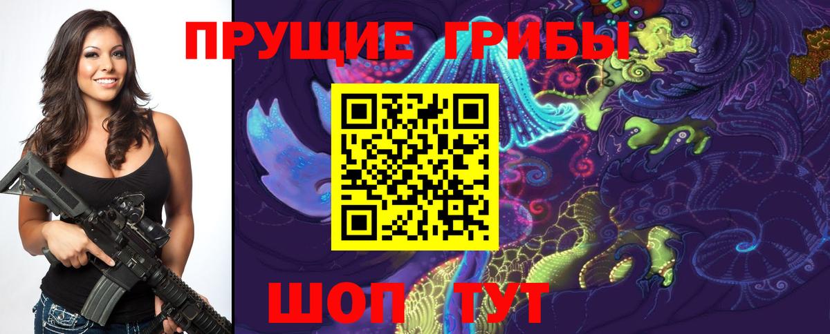 Псилоцибиновые грибы мицелий Новоалександровск